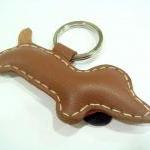 Jemma the dachshund Leather..