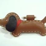 Jemma the dachshund Leather..