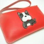 Deuce the Boston Terrier le..