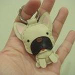 Mask the French Bull Dog Le..