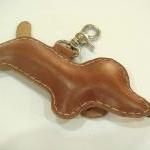 BIG Copper the Dachshund Le..